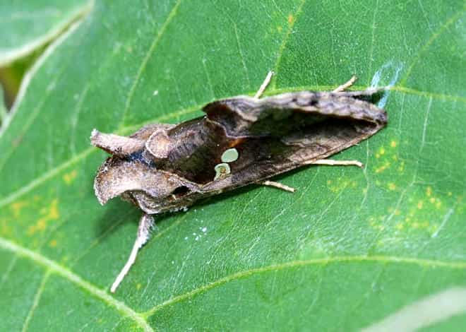 �����}�ӁE�C�`�W�N�L���E���o